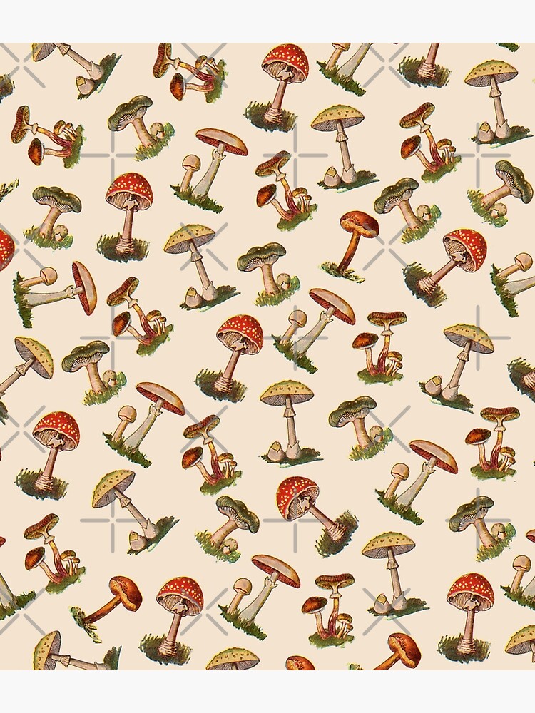 Mushrooms by notsniwart