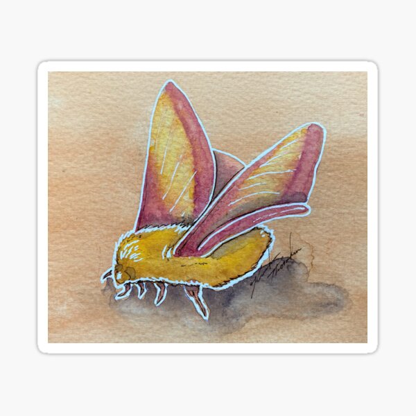 Rosy Maple Moth Waterproof Vinyl Sticker – Botanical Bright - Add a Little  Beauty to Your Everyday