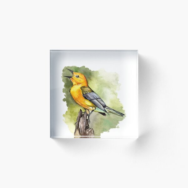 Prothonotary Warbler Acrylic Block