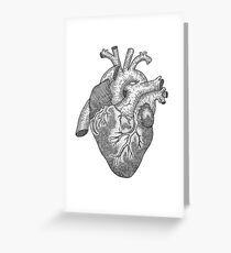 Anatomical Heart Ink Illustration Greeting Card