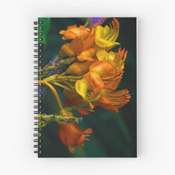 Item preview, Black Bean Flowers Glow designed and sold by Margaret Saheed.