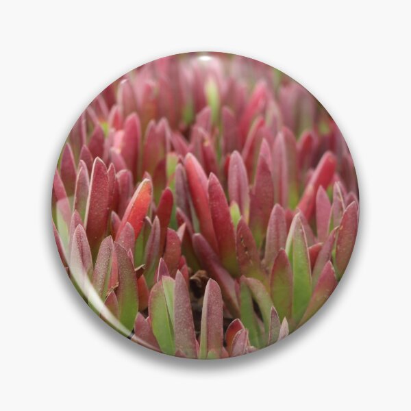 Item preview, Ice plant designed and sold by jelli-designs.