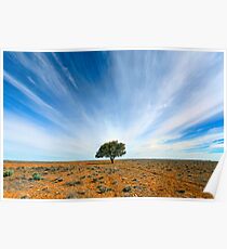 Stand Out - Tibooburra, NSW Poster