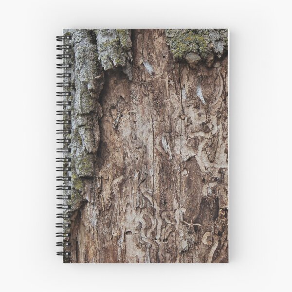 Item preview, Ash Tree Damage designed and sold by Amber Ryder.