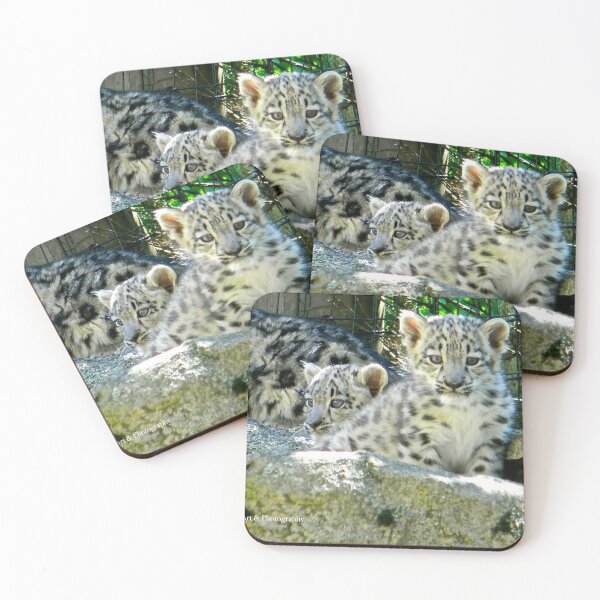 Item preview, Snow Leopard Cubs designed and sold by jezebel521.
