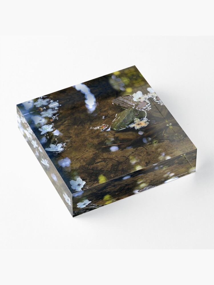 Alternate view of Flower Reflections Acrylic Block