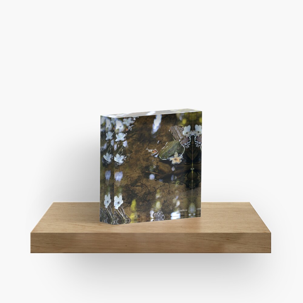 Flower Reflections Acrylic Block