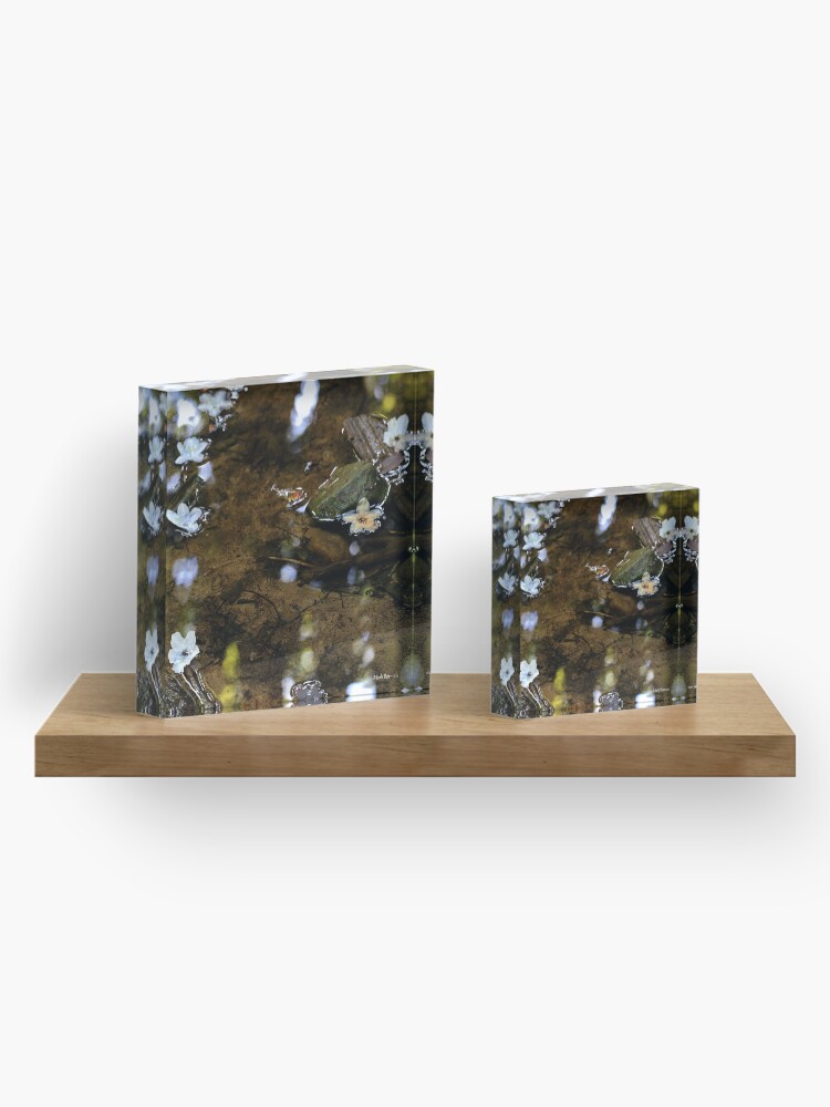 Alternate view of Flower Reflections Acrylic Block