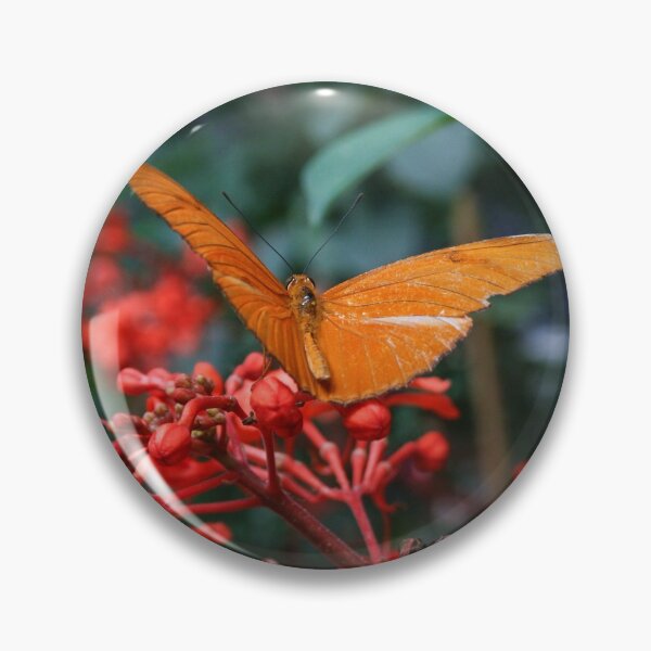 Item preview, Dryas Iulia designed and sold by Schummi.
