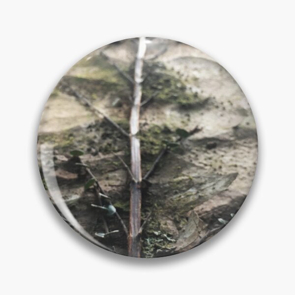 Item preview, Tree trunk climber designed and sold by Naturevibez.