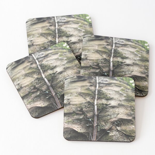 Item preview, Tree trunk climber designed and sold by Naturevibez.