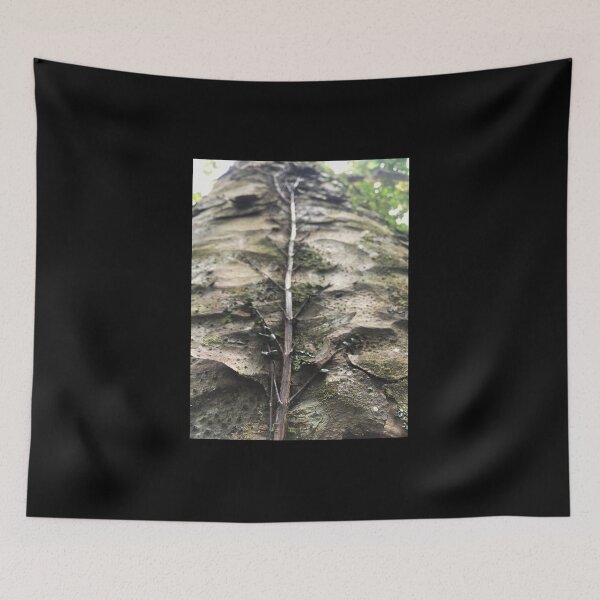 Item preview, Tree trunk climber designed and sold by Naturevibez.
