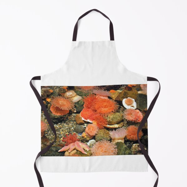 Item preview, Tidal Pool designed and sold by Schummi.