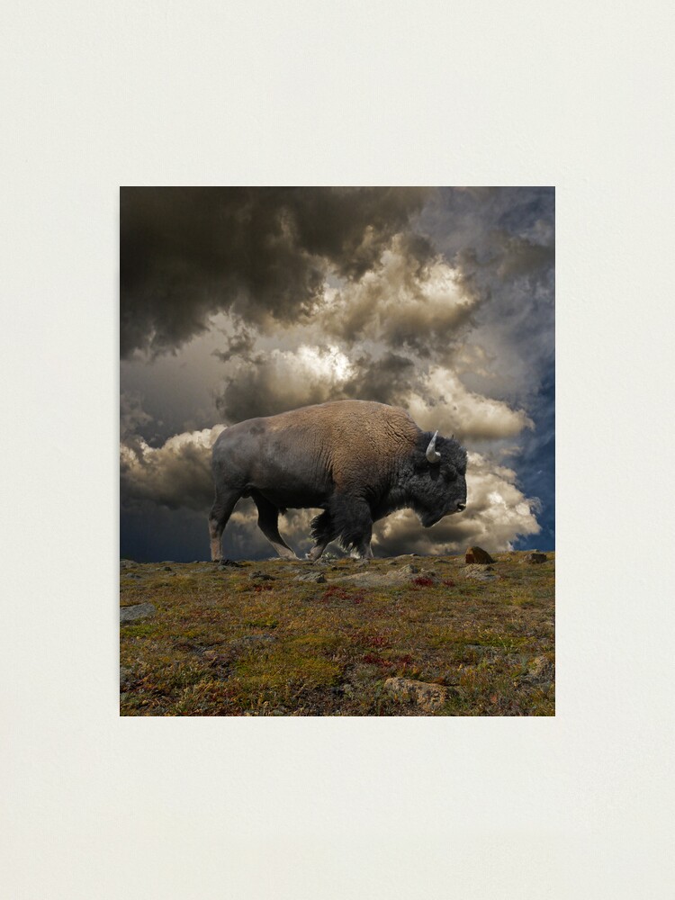 Alternate view of 2972 Photographic Print