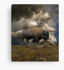 2972 Canvas Print