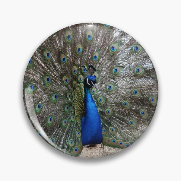 Item preview, Strutting His Stuff designed and sold by Schummi.