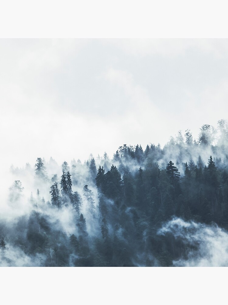 Foggy Forest Landscape by Sofiakat