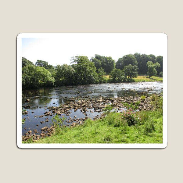 Merch #96 -- Stream Between Trees - Shot 5 (Hadrian's Wall) Magnet
