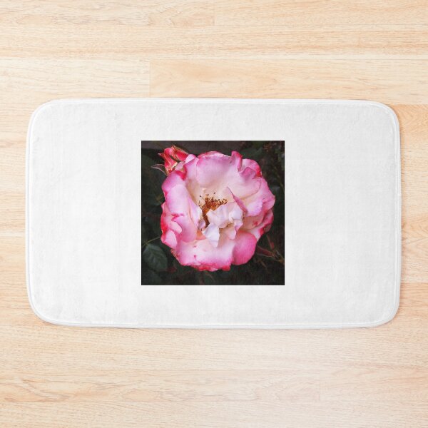 Item preview, Pink Rose designed and sold by Roz McQuillan Fine Art & Photography.