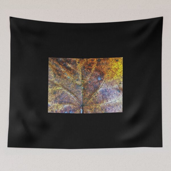 Item preview, Autumn leaf veins designed and sold by Naturevibez.