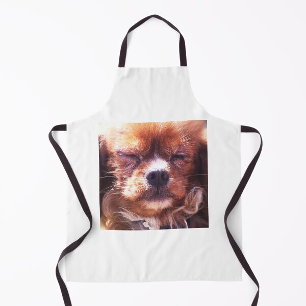 Item preview, Golden Cavalier puppy designed and sold by Roz McQuillan Fine Art & Photography.