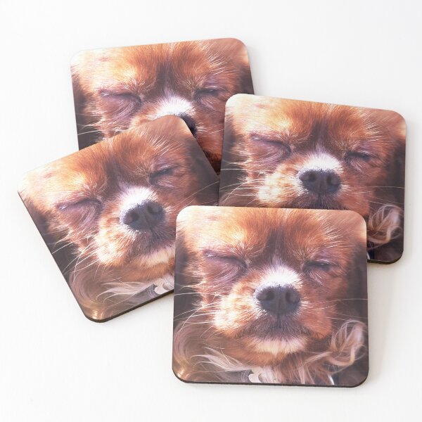 Aperçu de l'œuvre Chiot Golden Cavalier créée et vendue par Roz McQuillan Fine Art & Photography.