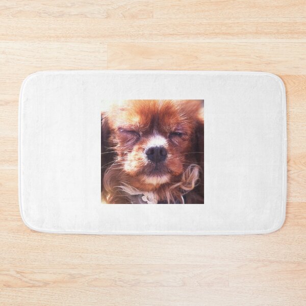 Item preview, Golden Cavalier puppy designed and sold by Roz McQuillan Fine Art & Photography.