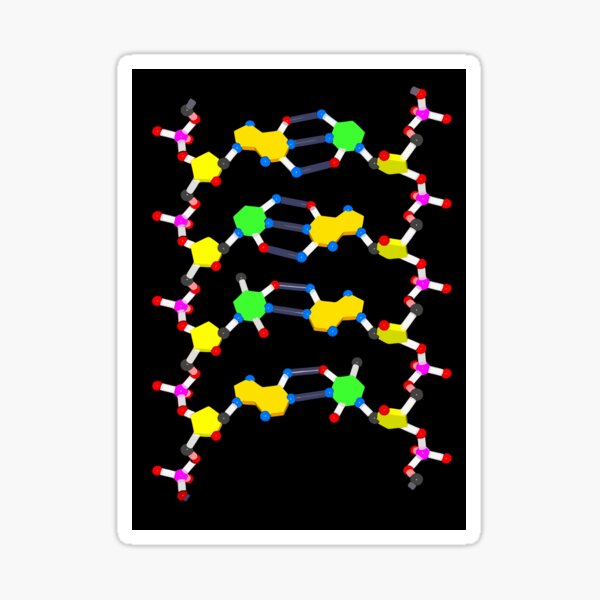 DNA Unwound Portrait Sticker