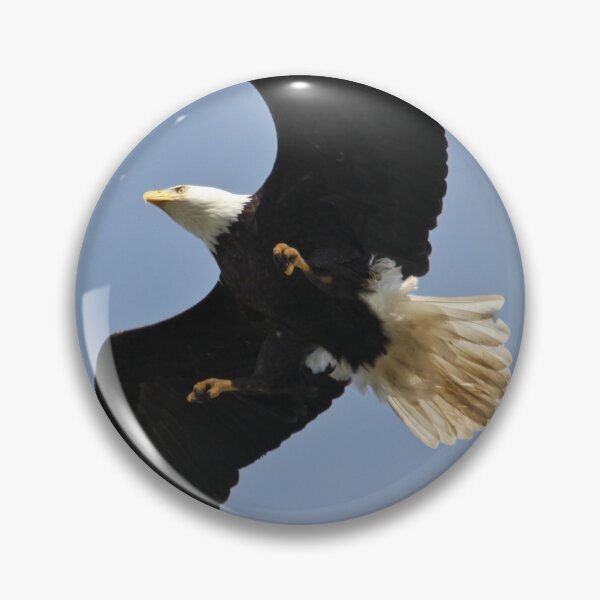 Item preview, City Eagle... designed and sold by RichImage.
