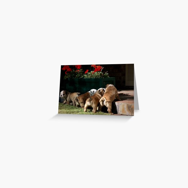 ~Trouble Brewing~ Greeting Card