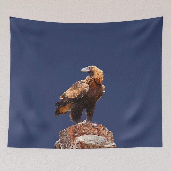 Item preview, Australian Eagle Eye Audax designed and sold by briana-rose.