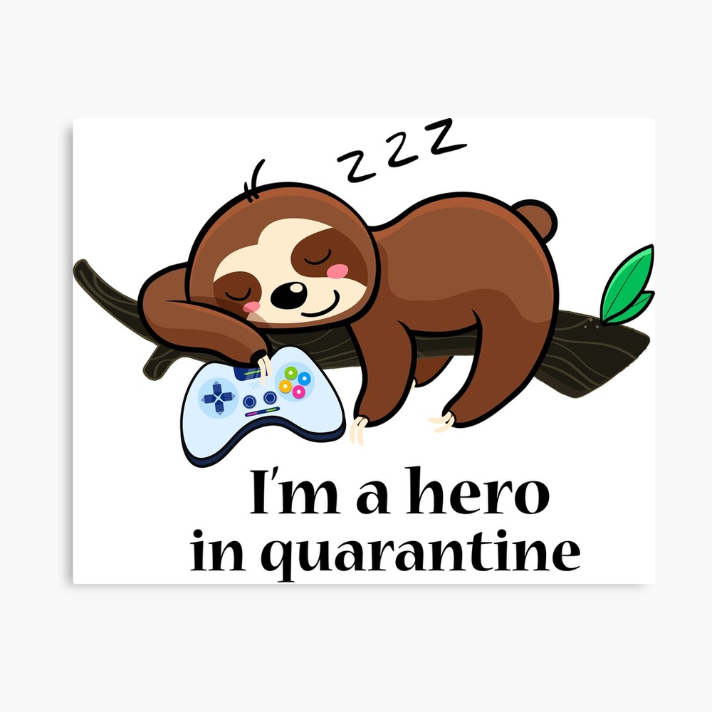 Poster Oso Perezoso Durmiendo En Una Rama De Deuterosdigital Redbubble