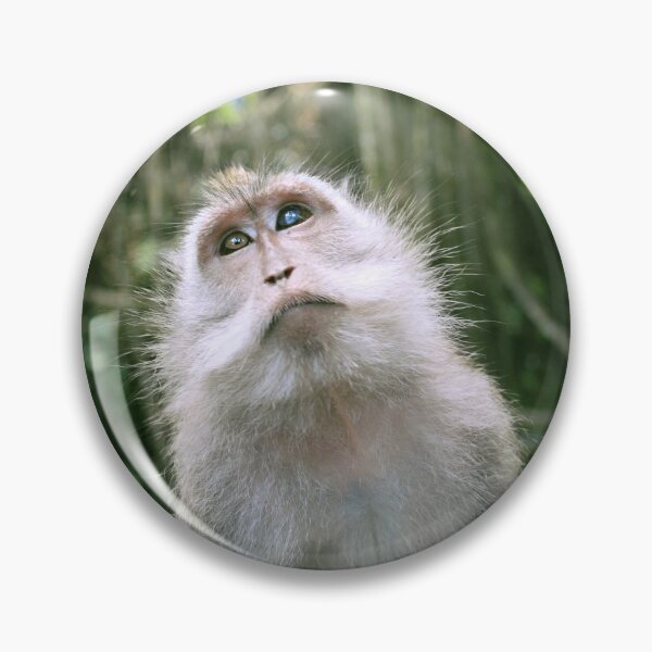 Item preview, Brooding Balinese Long Tailed Monkey designed and sold by briana-rose.
