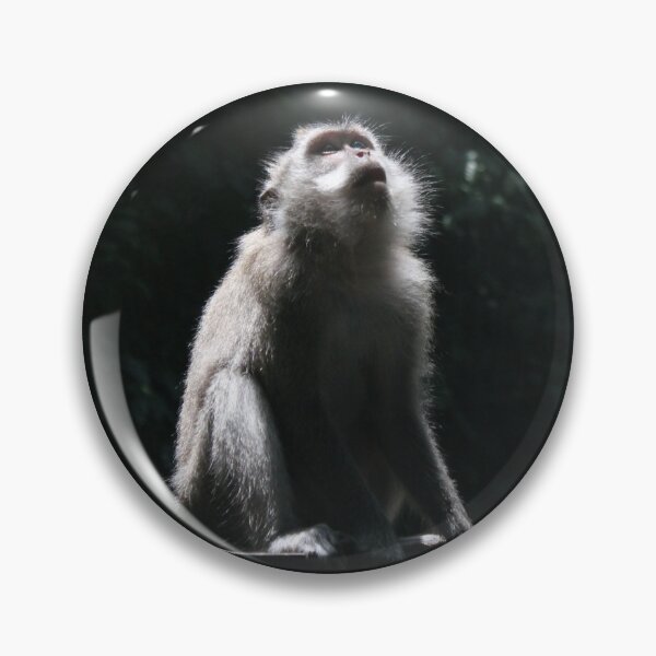 Item preview, A Rainforest Monkey in Awe designed and sold by briana-rose.