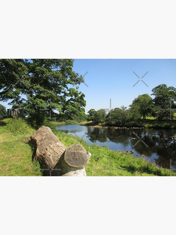 Merch #97 -- Stream Between Trees - Shot 6 (Hadrian's Wall) by Naean