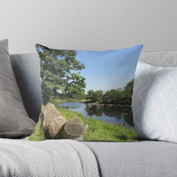Merch #97 -- Stream Between Trees - Shot 6 (Hadrian's Wall) Throw Pillow