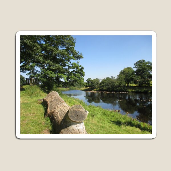 Merch #97 -- Stream Between Trees - Shot 6 (Hadrian's Wall) Magnet