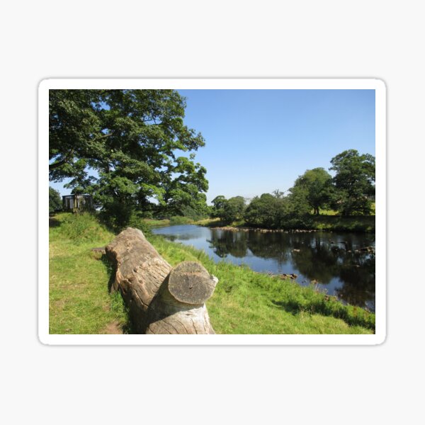 M.I. #97 |☼| Stream Between Trees - Shot 6 (Hadrian's Wall) Sticker