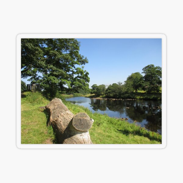 Merch #97 -- Stream Between Trees - Shot 6 (Hadrian's Wall) Transparent Sticker
