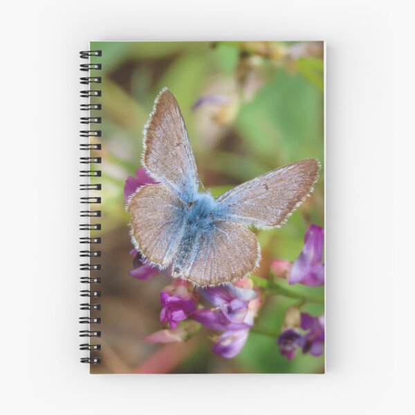 Item preview, Spring Azure Butterfly  designed and sold by DigitalGen.