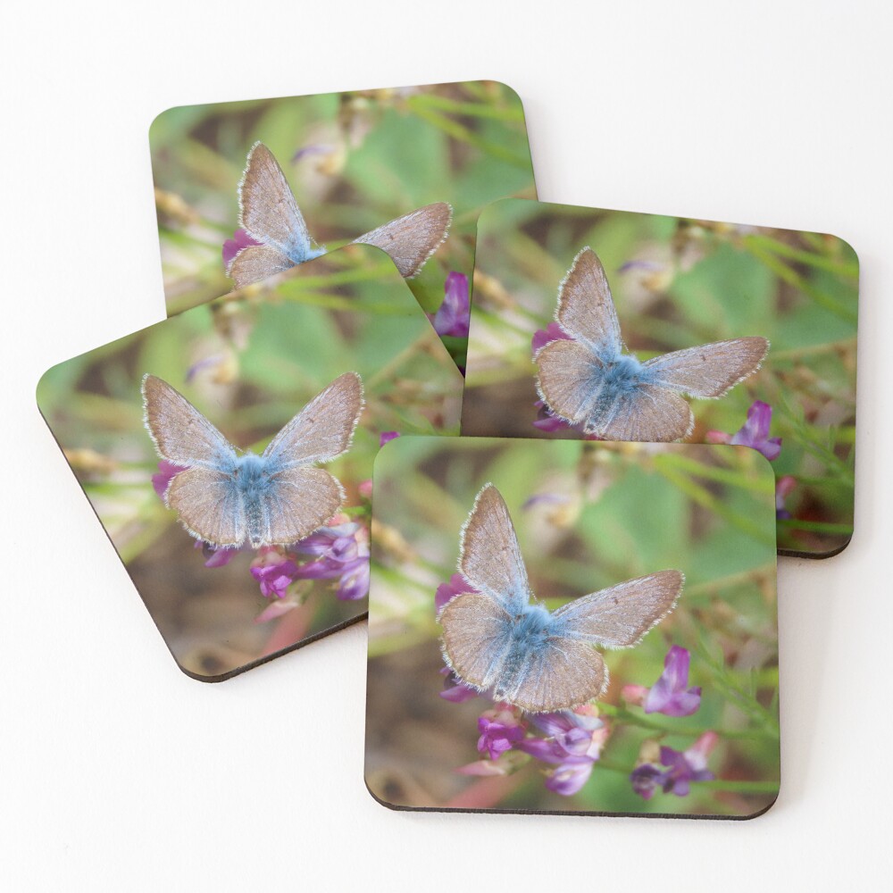 Item preview, Coasters (Set of 4) designed and sold by DigitalGen.