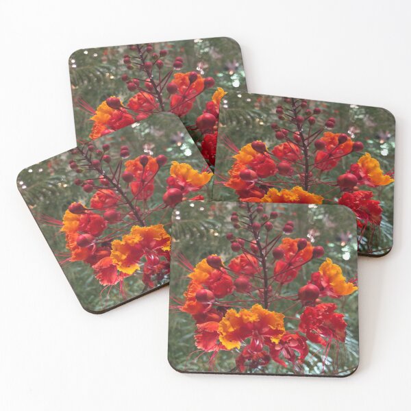 Item preview, Desert Flowers designed and sold by Tabbers13.