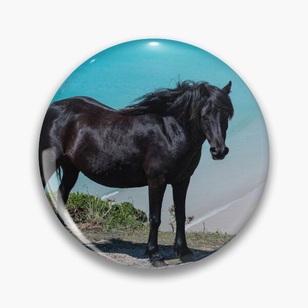 Item preview, Pedn Vounder Beach Cornwall with a wild  Black horse designed and sold by kathleenjean.