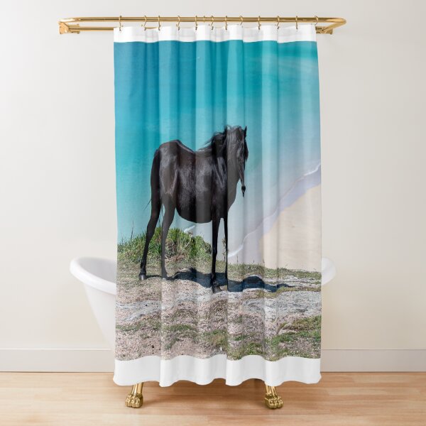 Item preview, Pedn Vounder Beach Cornwall with a wild  Black horse designed and sold by kathleenjean.