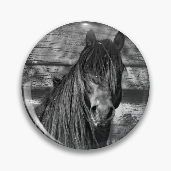 Item preview, Australian Brumby Stallion. HORSE PHOTOGRAPHY, BY BARBARA JEAN PHOTO ART AND DESIGN designed and sold by Barbara Jean Photo Art And Design.