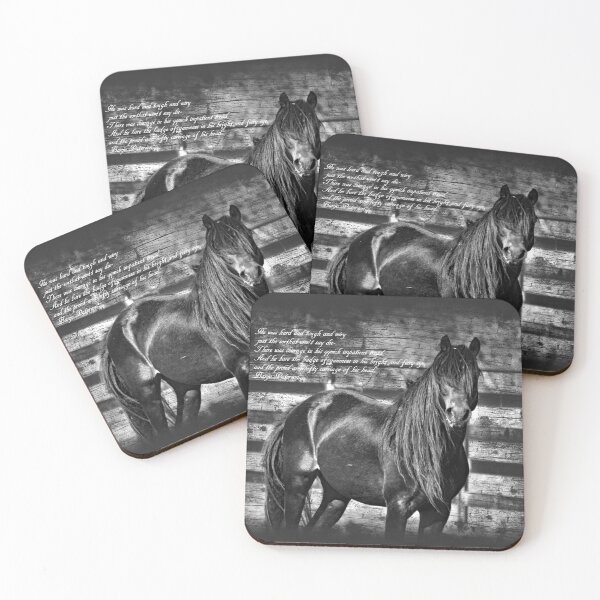 Item preview, Australian Brumby Stallion. HORSE PHOTOGRAPHY, BY BARBARA JEAN PHOTO ART AND DESIGN designed and sold by Barbara Jean Photo Art And Design.