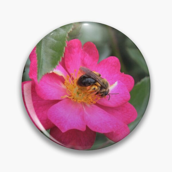 Item preview, Buzz designed and sold by Schummi.