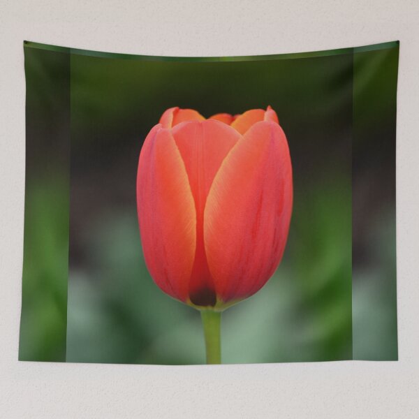 Item preview, 'World's Favourite' Tulip designed and sold by imaginethis.
