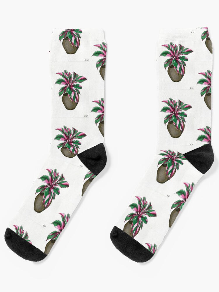 Thumbnail 1 of 5, Socks, Pink Calathea designed and sold by Sarah Sheldon.