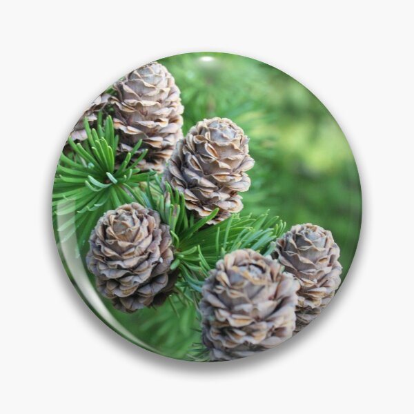 Item preview, Pinecones designed and sold by Schummi.
